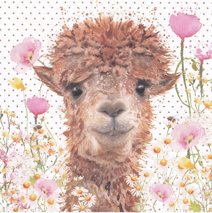 Alpaca And Poppies Happy Birthday Card - Nigel Quiney