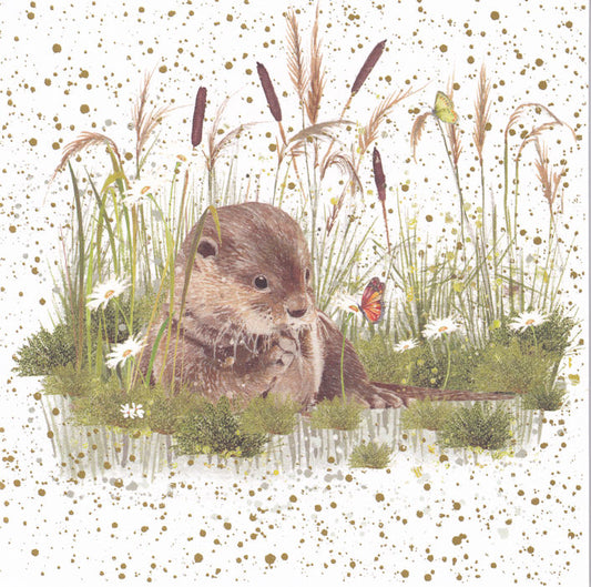 Otter Happy Birthday Card - Nigel Quiney