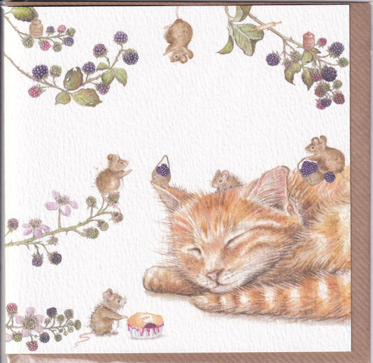 Sleeping Cat And Mice Greeting Card - West Country Designs