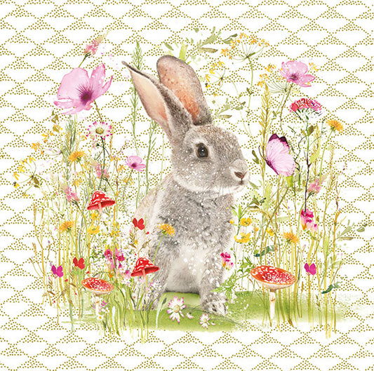 Little Bunny Rabbit Happy Birthday Card - Nigel Quiney