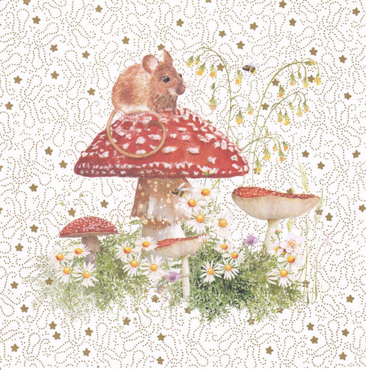 Mouse On A Mushroom Happy Birthday Card - Nigel Quiney