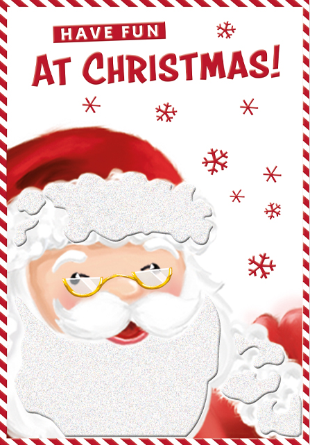 Have Fun At Christmas! Card