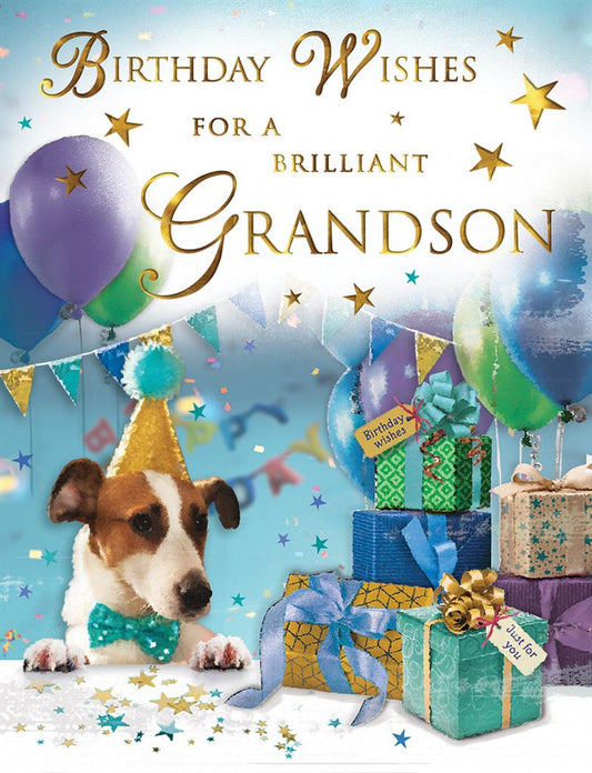 Birthday Wishes For A Brilliant Grandson Birthday Card