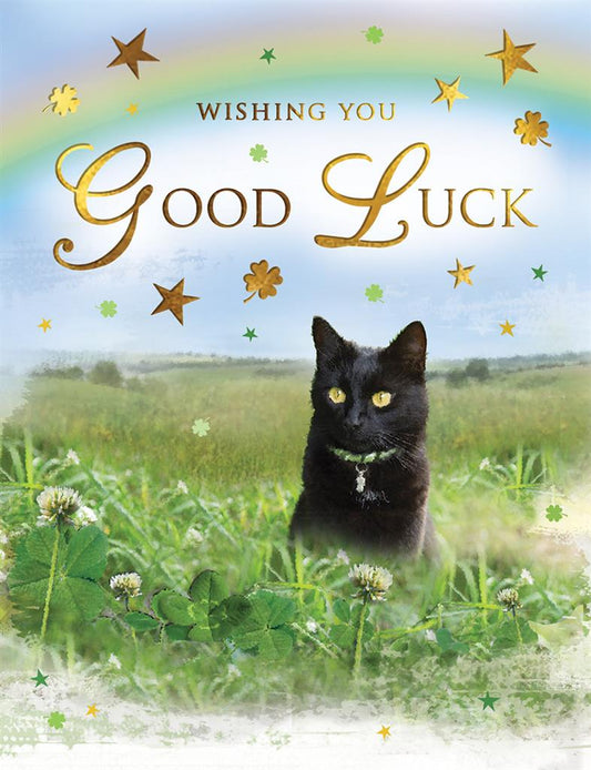 Wishing You Good Luck Card