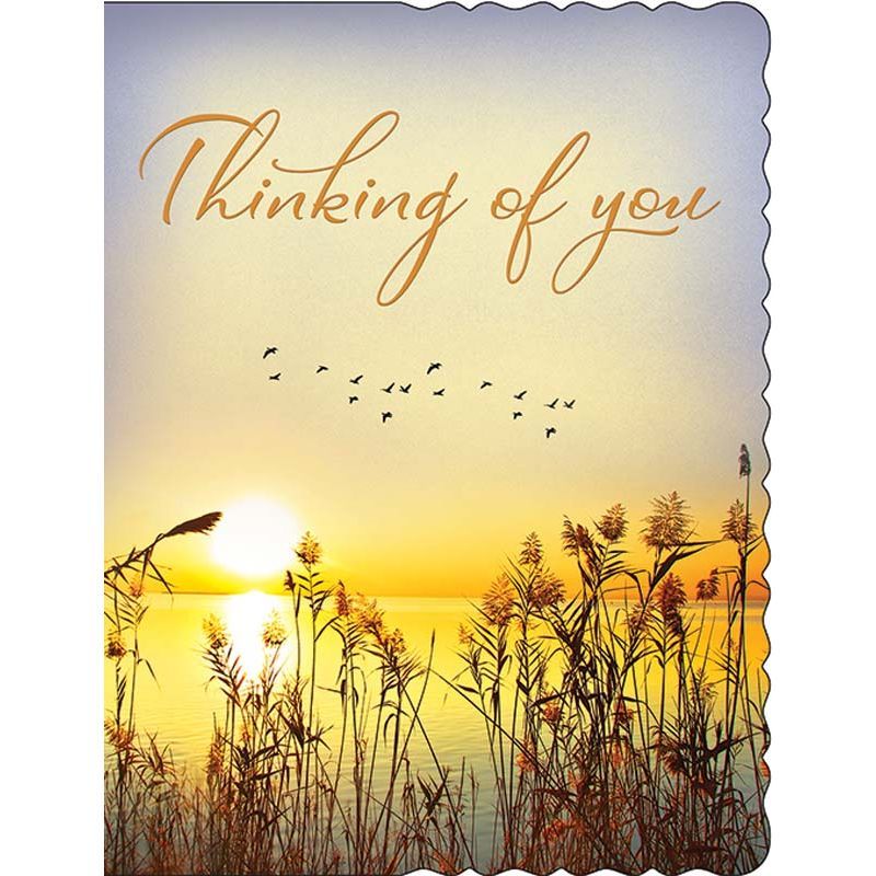 Thinking Of You Card Blank Inside