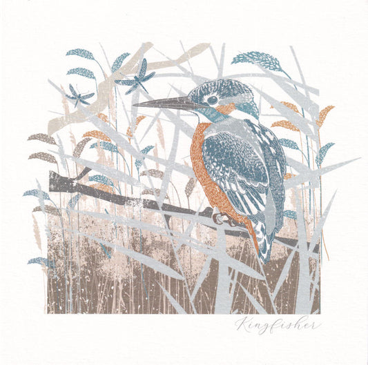 Kingfisher Bird Greeting Card - Nigel Quiney