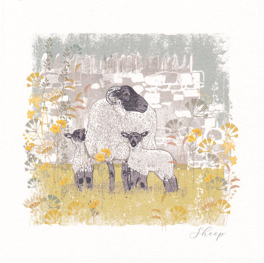 Sheep Greeting Card - Nigel Quiney