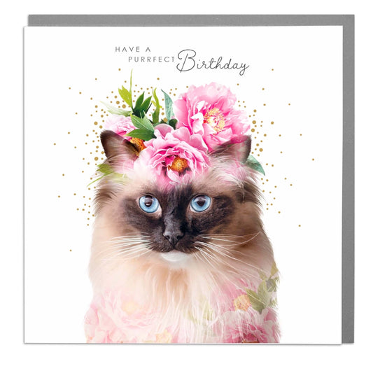 Have A Puurfect Birthday Cat Card - Lola Design
