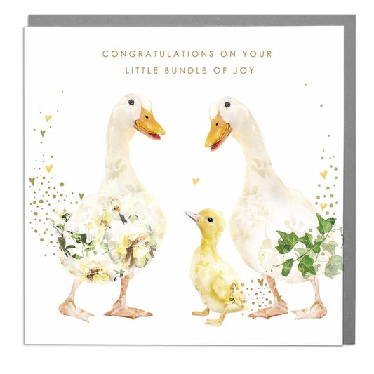 Ducks Congratulations On Your Little Bundle New Baby Card - Lola Design