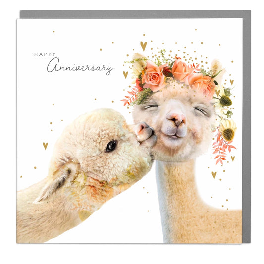 Happy Anniversary Two Alpacas Card - Lola Design