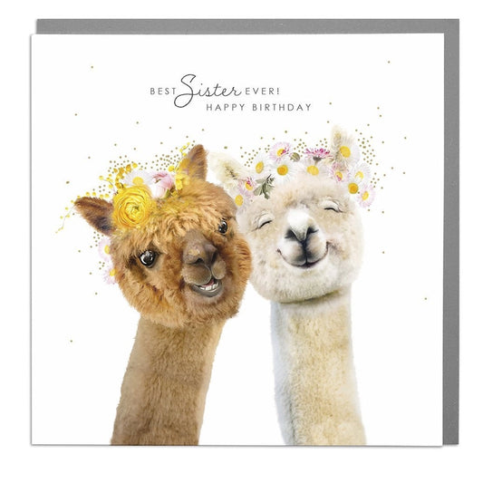 Alpacas Best Sister Ever! Happy Birthday Card - Lola Design