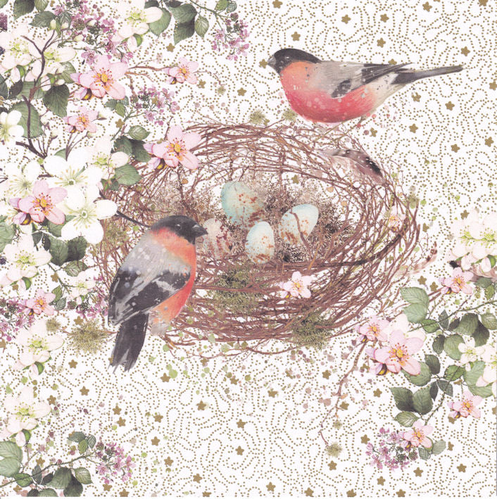 Bird's Nest Happy Birthday Card - Nigel Quiney