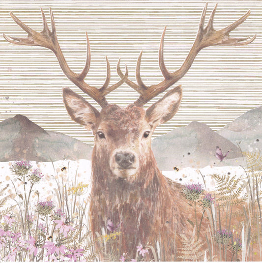 Stag In The Highlands Happy Birthday Card - Nigel Quiney