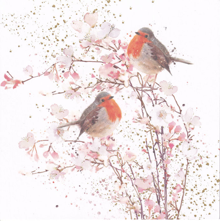 Robin Birds And Blossom Greeting Card - Nigel Quiney