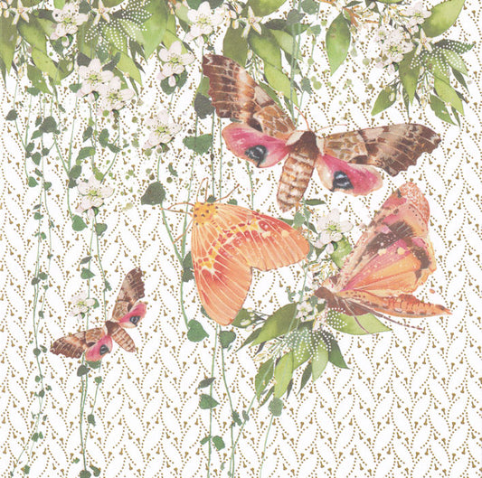Moths On Flowers Greetings Card - Nigel Quiney