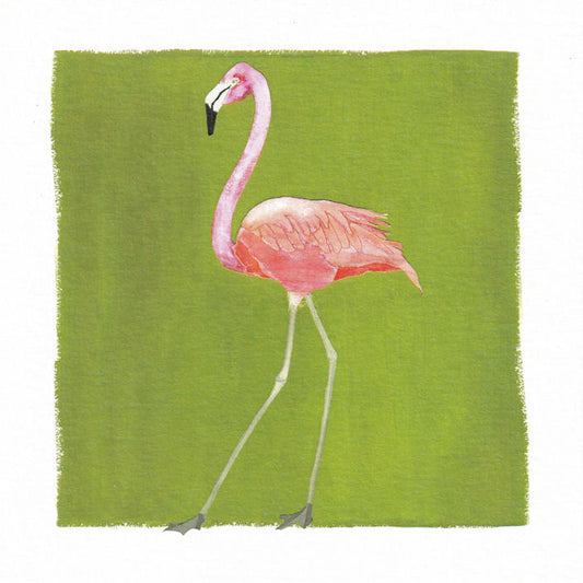 Flamingo Bird Greetings Card - Windsock Press