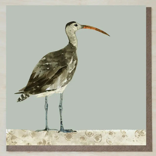 Curlew Bird Greeting Card - Windsock Press