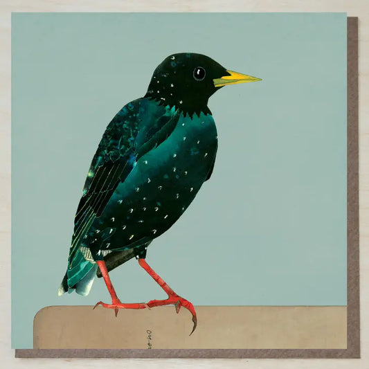 Starling Bird Greeting Card - Windsock Press