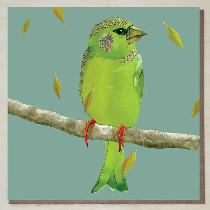 Greenfinch Bird Greeting Card - Windsock Press