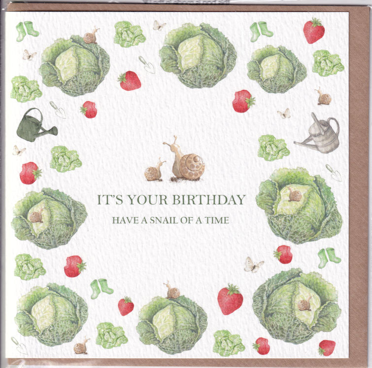 Have A Snail Of A Time Birthday Card - West Country Designs