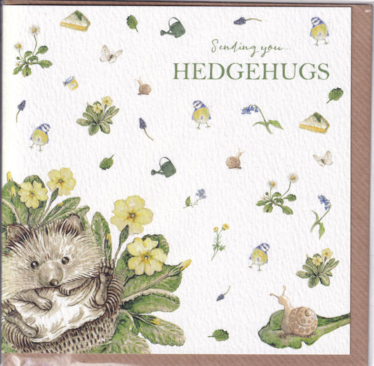 Sending You Hedgehugs Greeting Card - West Country Designs