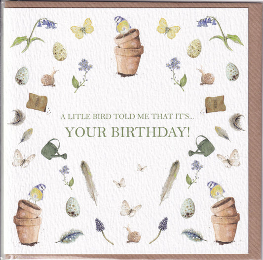 A Little Bird Told Me That It's Your Birthday! Card - West Country Designs