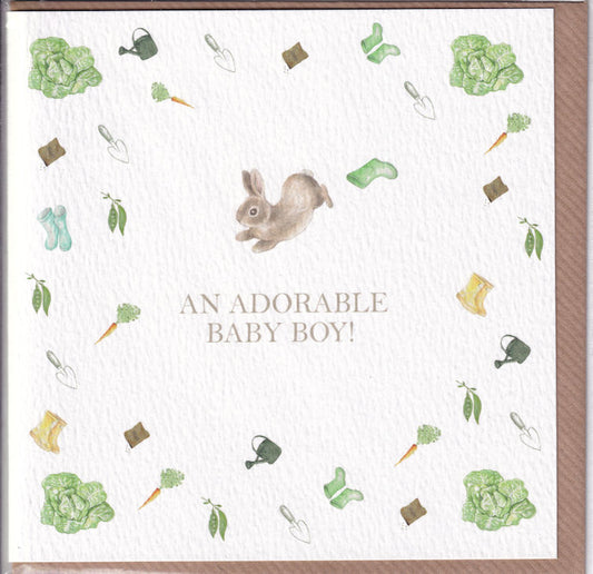 An Adorable Baby Boy! Card - West Country Designs