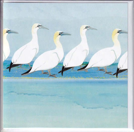 Gannet Birds Greeting Card - Joanne Wishart