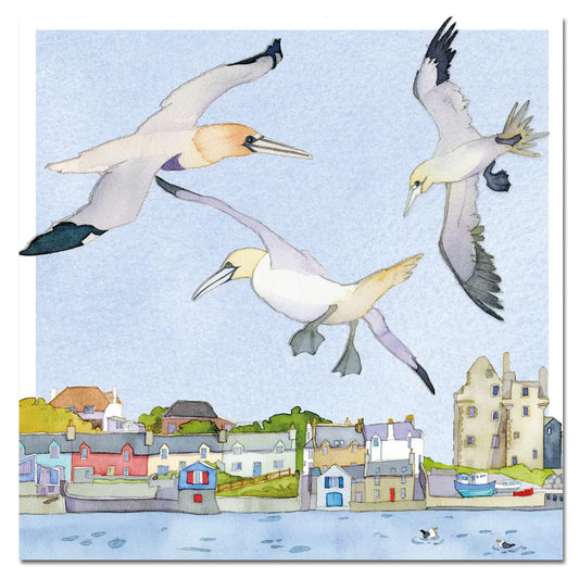 Gannet Birds Flying Greeting Card - Emma Ball