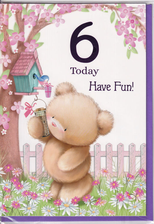 Teddybear 6 Today Have Fun! Birthday Card 6th